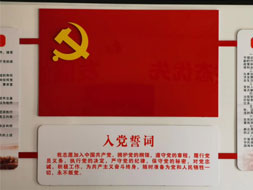 中舶集團黨支部成立